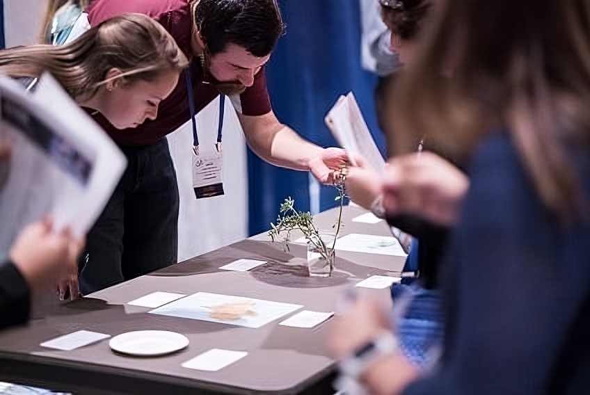 crops-judging-canvas