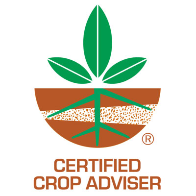 CCA Logo of 2d clip art plant growing through soil.