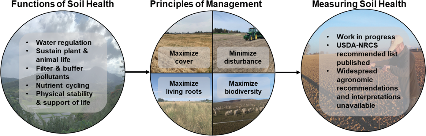 Figure 1. Functions, management, and measuring of soil health. Image courtesy of Christopher Rogers and derived from USDA-NRCS (2023).
