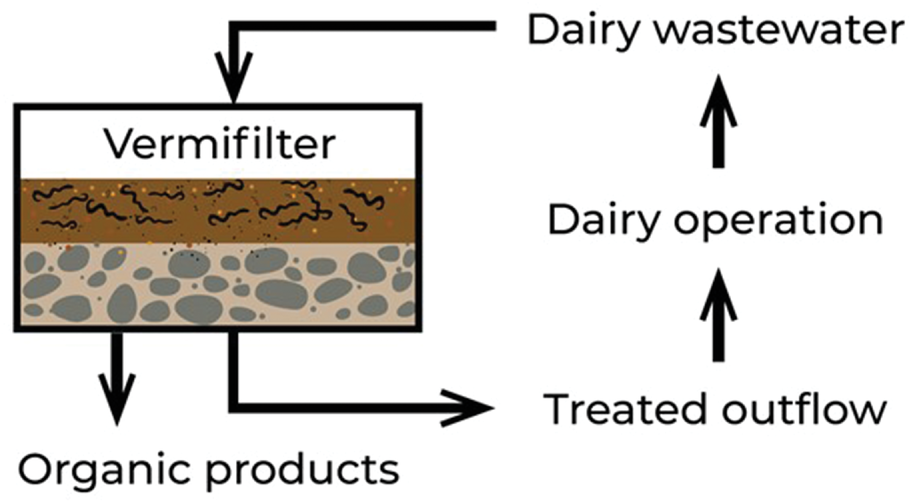 A vermifilter can use composting earthworms to treat dairy wastewater, recycle nutrients, and provide organic products such as fish bait and soil-amending casts. Graphic by Marie Johnston.