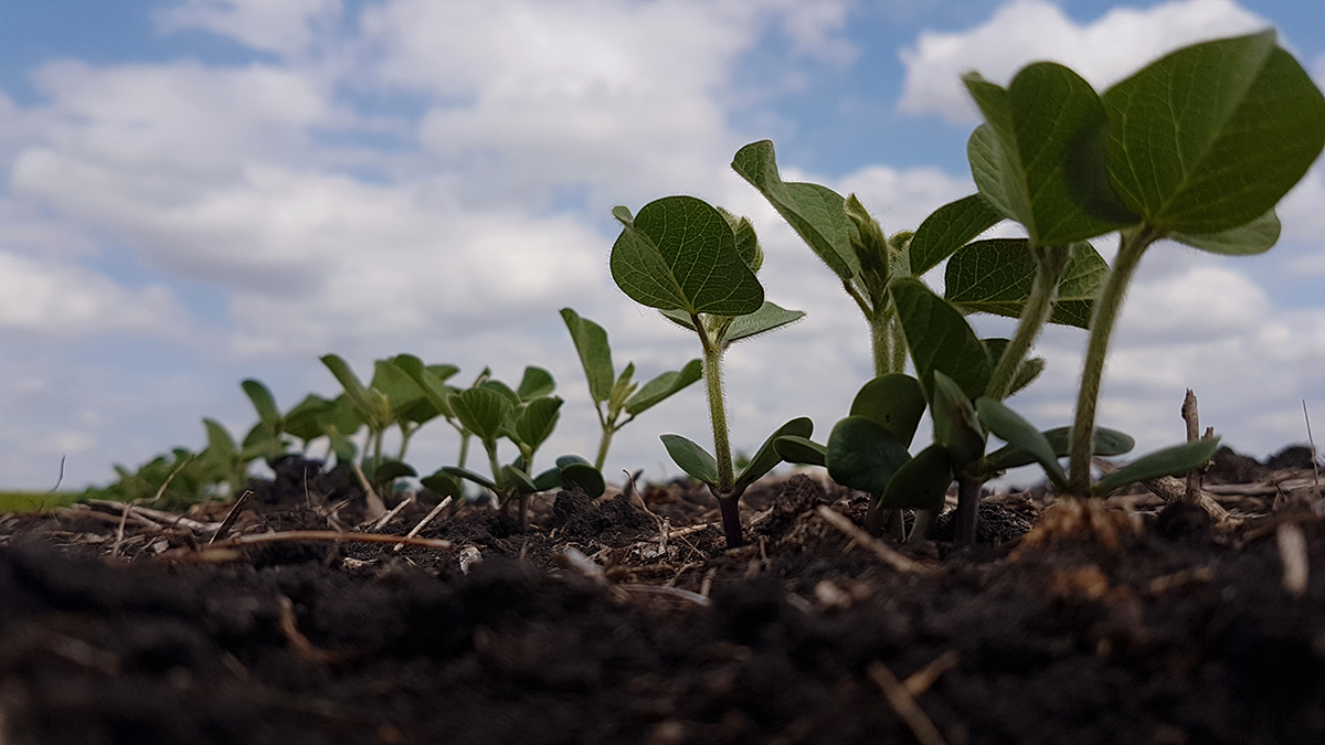 Photo by Derek Penner.