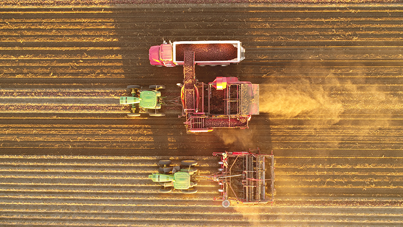 There are enough positive trends evident from this research to encourage producers to move toward shallow non-inversion tillage without fear of reduced yields. Photo by Derek Penner.