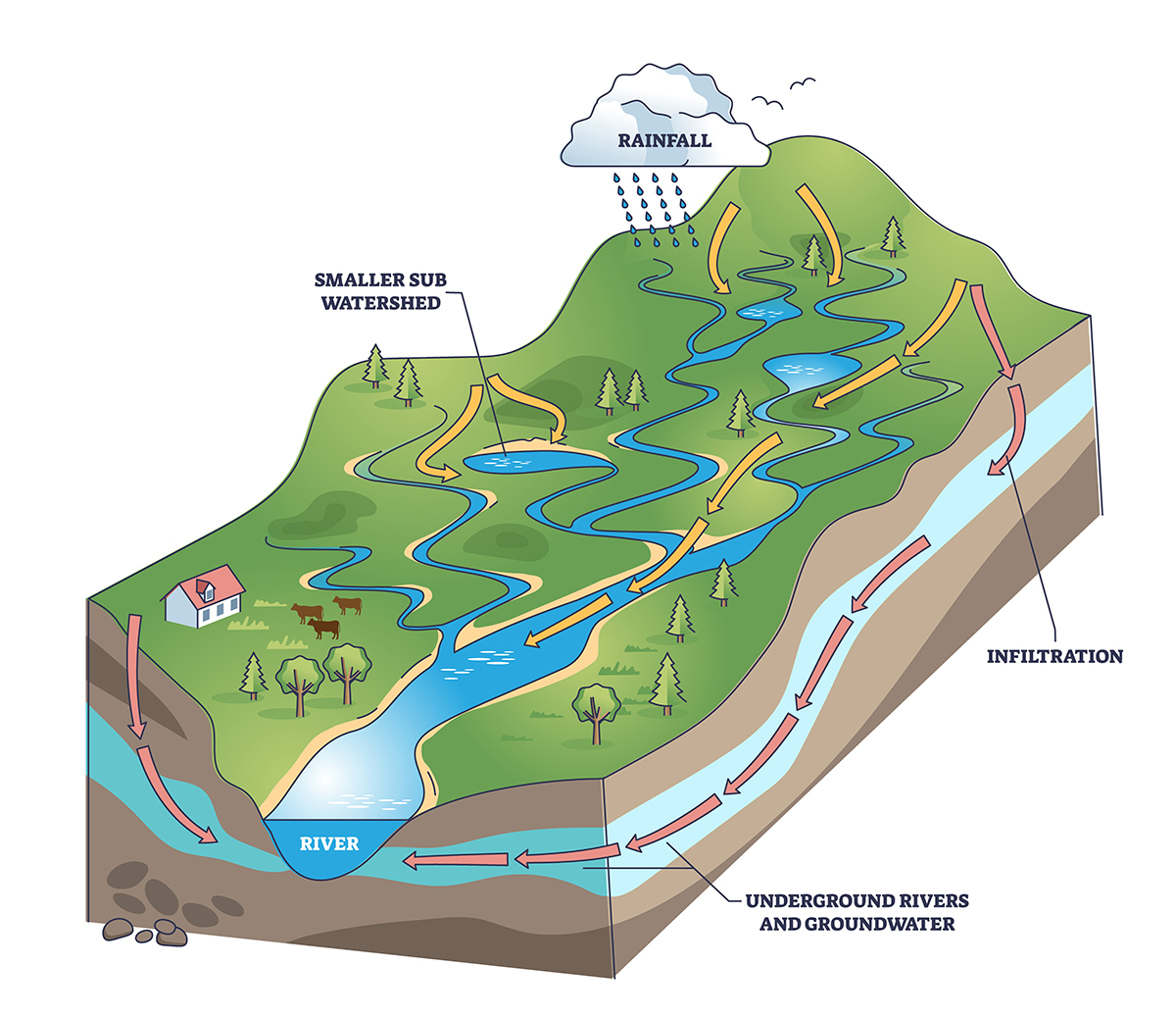 Legacy phosphorus can slowly leach off the land, offering a persistent, diffuse supply of phosphorus to nearby waterways. Illustration courtesy of Adobe Stock/VectorMine.