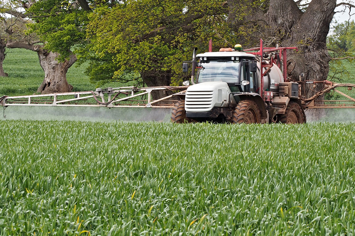 Photo courtesy of Flickr/Graham Rawlings (license CC BY-NC 2.0).