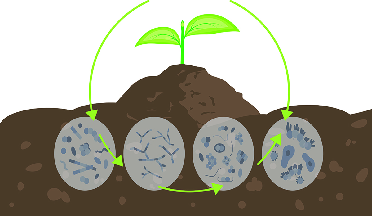 Illustration courtesy of Adobe Stock/fancytapis and Julia.