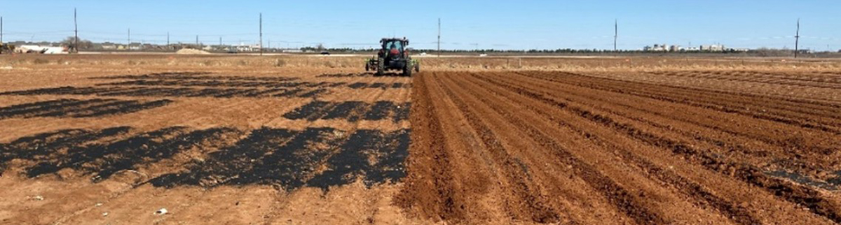 Figure 4. Application of hardwood biochar in a field at the Quaker Research Farm, Lubbock, TX.