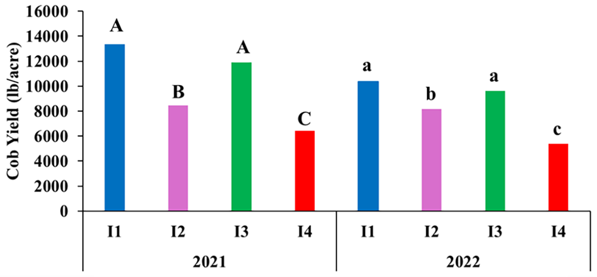 Figure 6. Cob yield of sweet corn under different irrigation regimes in 2021 and 2022 at Lubbock, TX.