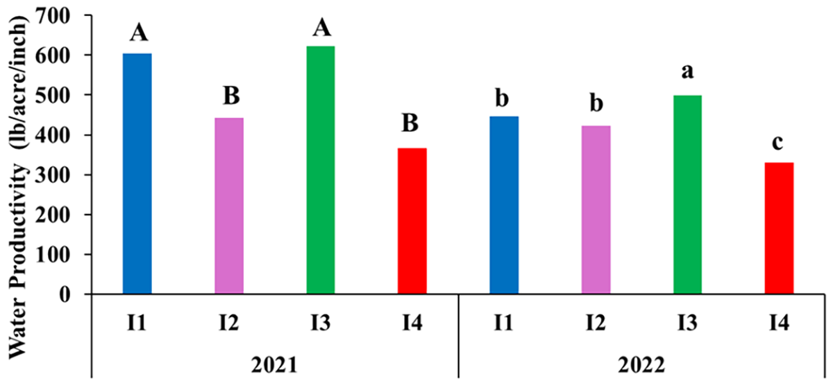 Figure 7. Water productivity of sweet corn under different irrigation regimes in 2021 and 2022 at Lubbock, TX.