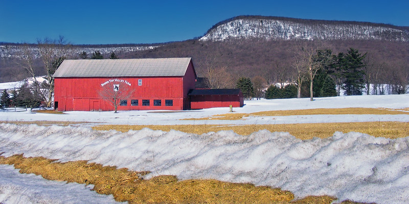 Photo by Nicholas A. Tonelli and published under this license: https://creativecommons.org/licenses/by/2.0/.