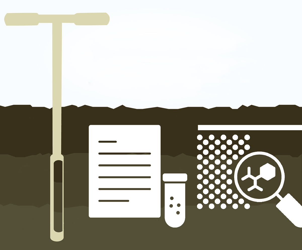 The source for this illustration is the United Soybean Board. The illustration was modified from the original according to this license: CC BY 2.0.