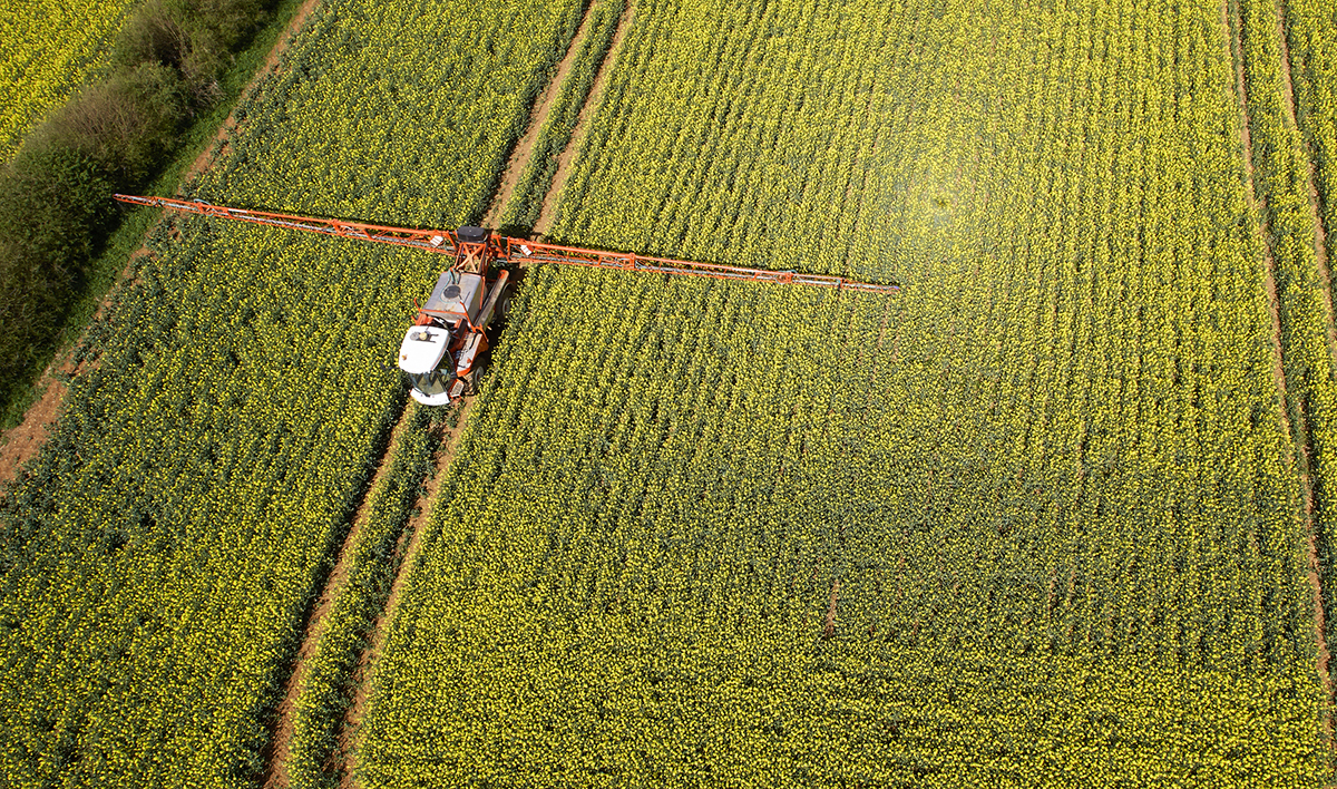 Photo courtesy of Getty Images/The Creative Drone.