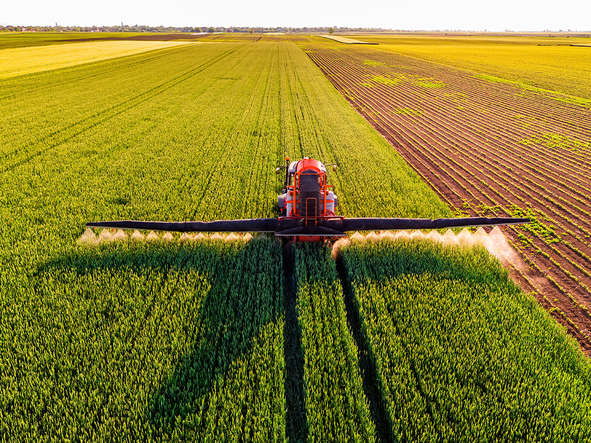 Photo courtesy of Adobe Stock/oticki.