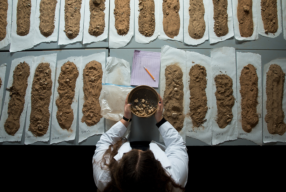 Agricultural labs analyze a wide range of soil properties to support nutrient management and crop productivity.