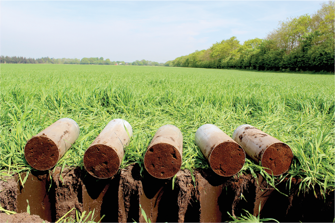 Researchers conducted an outdoor column study to compare the behavior of bromide in arable topsoil to control columns contain- ing sand and fine gravel. Photo by GEUS/Christian Albers.
