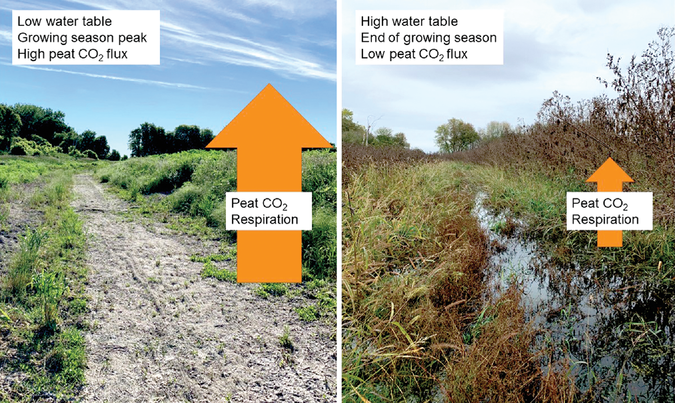 A water diversion constructed during the restoration of Minneso- ta’s Cold Spring fen, the study site, is depicted at different points in  the growing season. Peat carbon dioxide emissions are high when it is dry and low when it is wetted. Photo by Anu Wille.