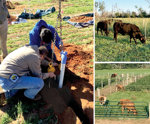 Left: The researchers installed a drain lysimeter at each plot at the beginning of the study. Right: Both cool-season (top) and warm-season (bottom) treatments consisted of different grazing intensities. Photos by Erick Santos.