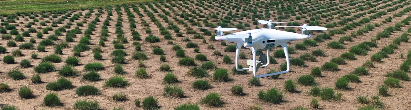 There are different approaches for imaging of plants such unmanned aerial vehicles (UAVs). Photo by Zenith Tandukar.