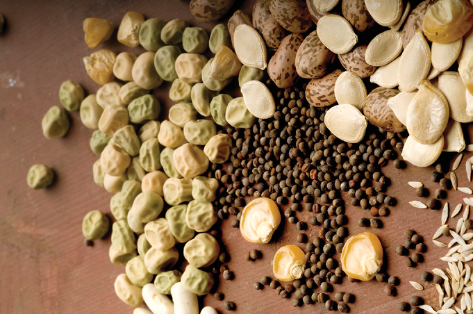 Photo by Lynn Kethchum. Courtesy of Flickr/Oregon State Universi- ty and published under this license: https://creativecommons.org/  licenses/by-sa/2.0/.