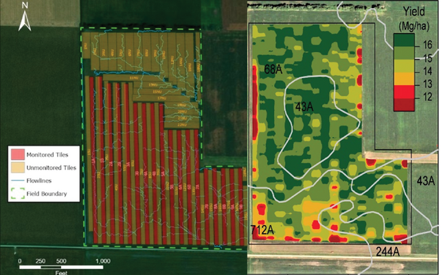 Tile system (left) and maize yield (right) of the researchers’ Illinois study field. Image courtesy of Andrew Margenot.