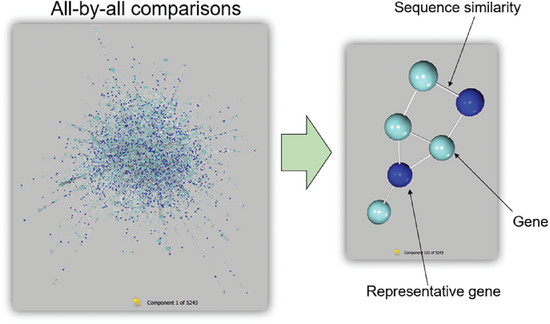 The occurrence of short sequence motifs, pinpointed from the re- sults of a GWAS, distinguished between white- and purple-flowered  soybean accessions. Figure reproduced with permission from the following article by Sundaramoorthy et al. published in the Journal of the Korean Society for Applied Biological Chemistry: https://doi. org/10.1007/s13765-015-0077-z.