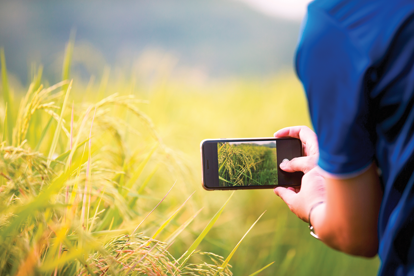New cell phone apps specifically designed for farming using LLMs and computer vision platforms will be coming online soon. Photo courtesy of Adobe Stock/tuelekza.
