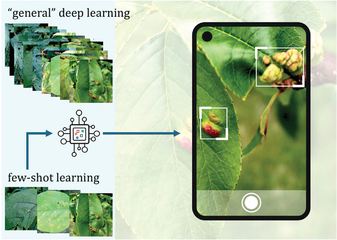Few-shot learning allows machines to learn from a relatively small number of images, expanding the range of practical applications. Image courtesy of Jianqiang Sun.