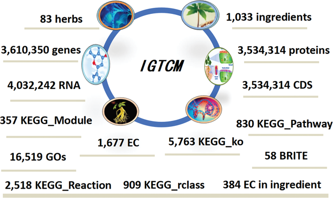 Content profile of the Integrative Genome Database of Traditional Chinese Medicine (IGTCM) plants. Image by Yuan-Nong Ye.