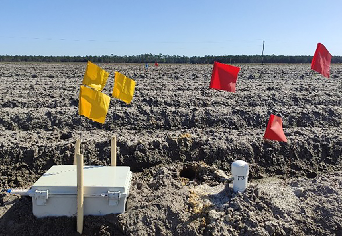 Soil moisture sensor in a potato field