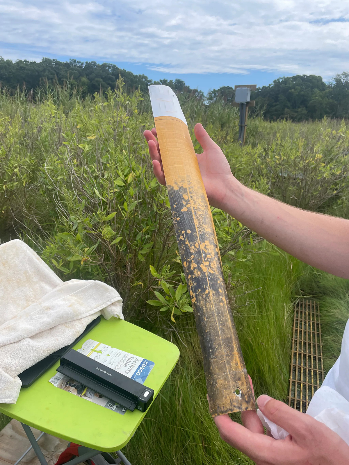 Indicator of Reduction in Soils (IRIS) film immediately after retrieval following 60-minute deployment in a tidal marsh soil. On the green table is a portable document scanner for collecting the IRIS image. Photo courtesy of Jocelyn Wardrup, UMD ENST.
