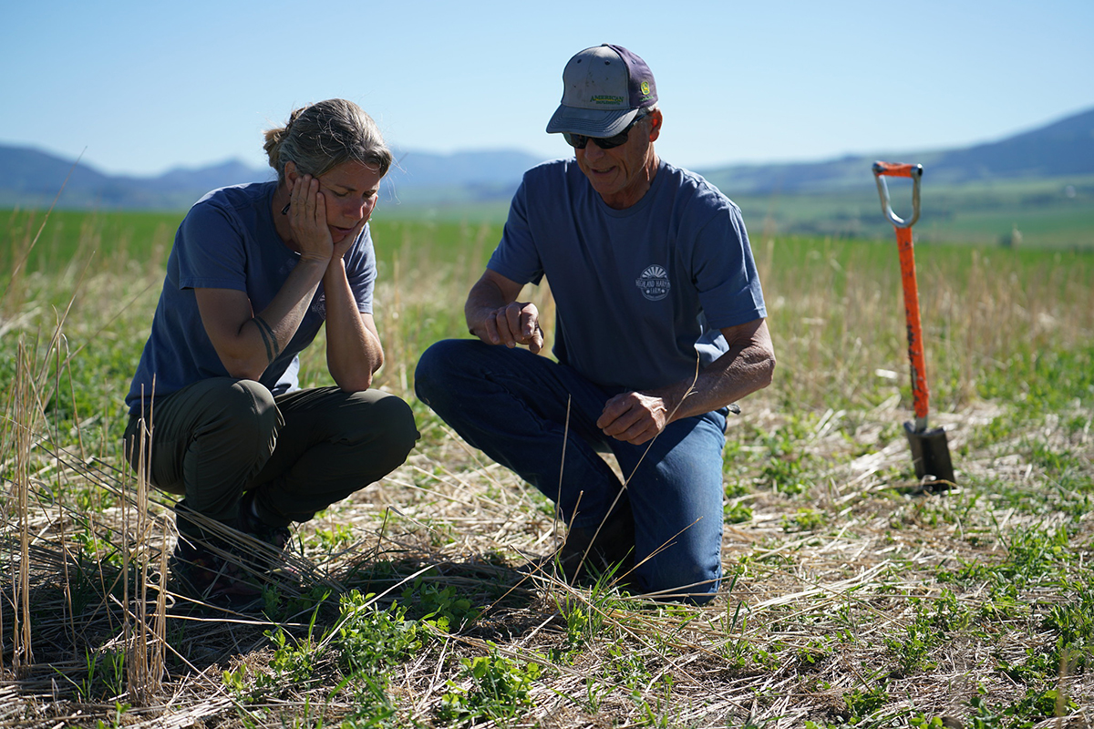 Photo courtesy of USDA-NRCS Montana and published under this license. 