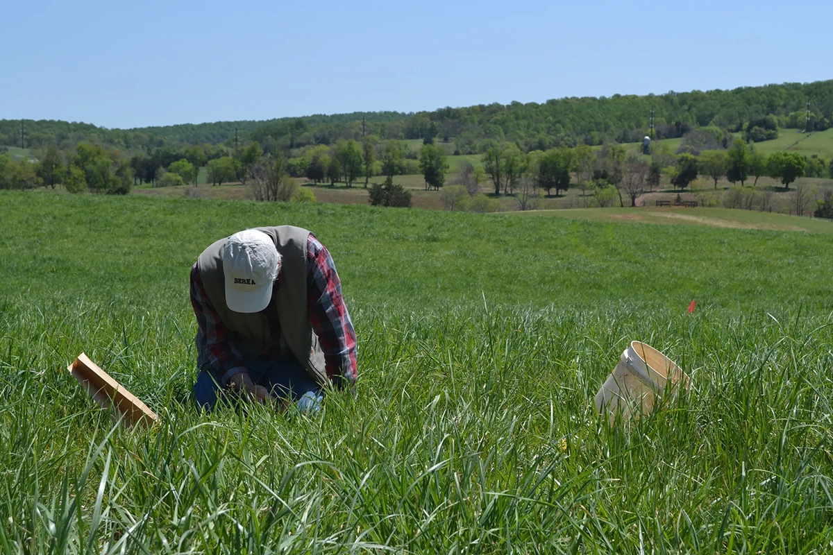 Sampling surface residue in a Virginia grassland. Photo by Alan Franzluebbers, USDA-ARS.