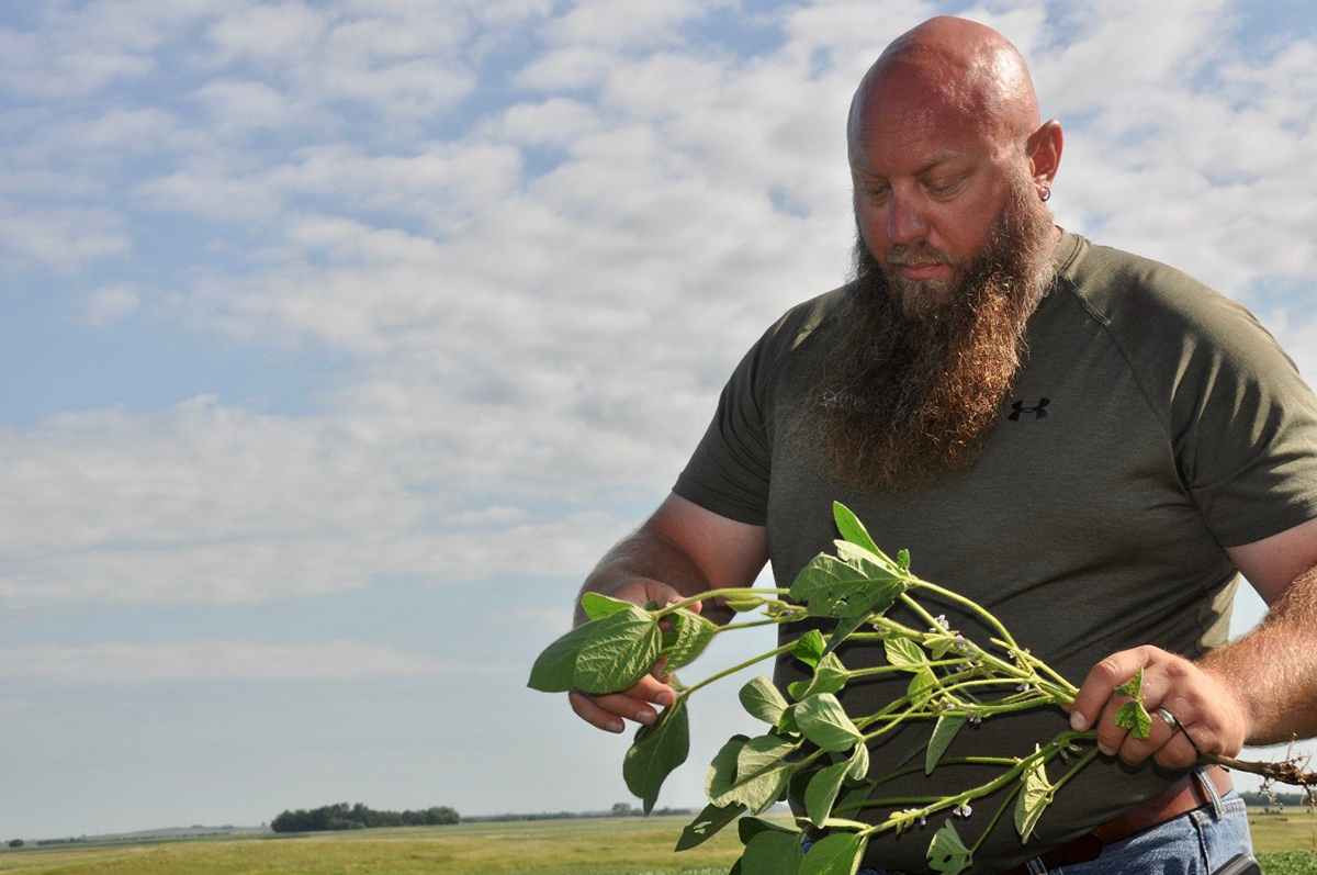 Lee Briese is a crop consultant with CENTROL in North Dakota and a Certified Crop Adviser (CCA). 