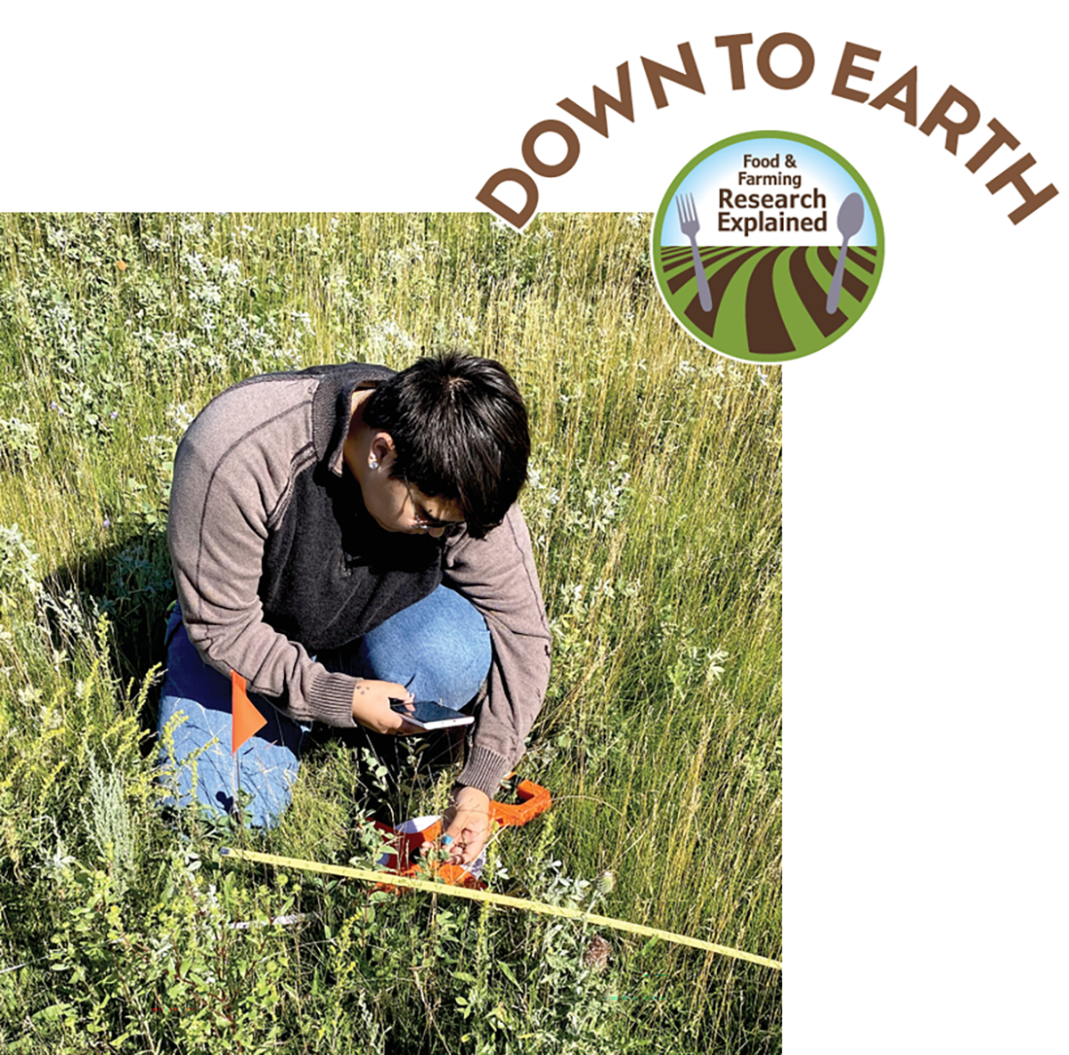 Turtle Mountain Community College student Fynn Pound, a Turtle Mountain Band of Chippewa Indians (TMBCI) citizen, identifying grassland plants. Photo by Stacie Blue.