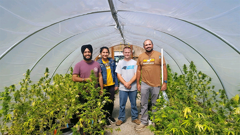 Research collaborations