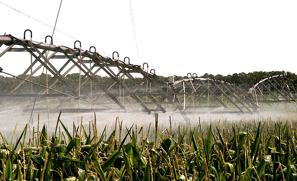 Source: Flickr/Matthew Traucht. Published under this license: https://creativecommons.org/licenses/by-nc-nd/2.0/.