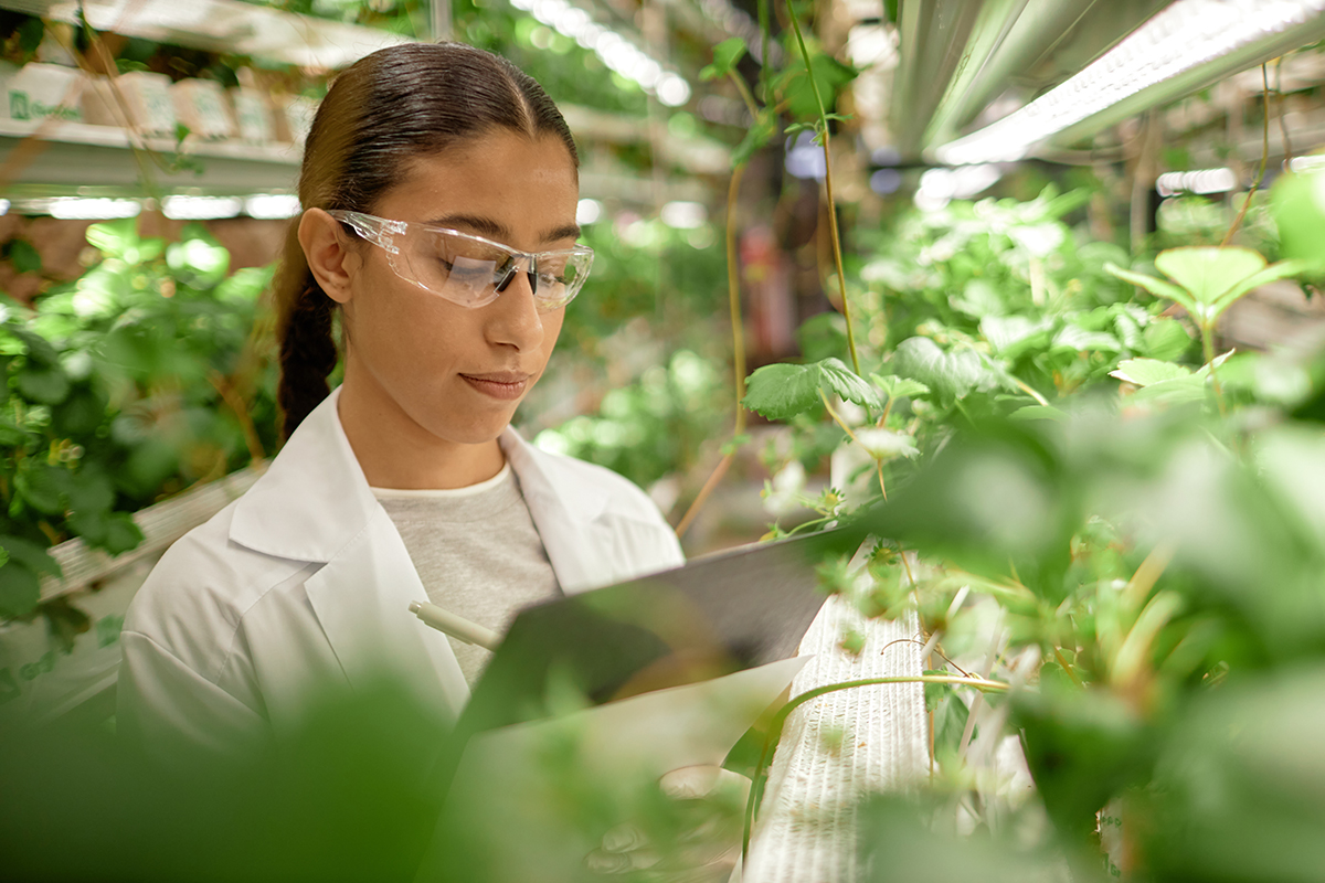 Photo courtesy of Adobe Stock/Seventyfour.