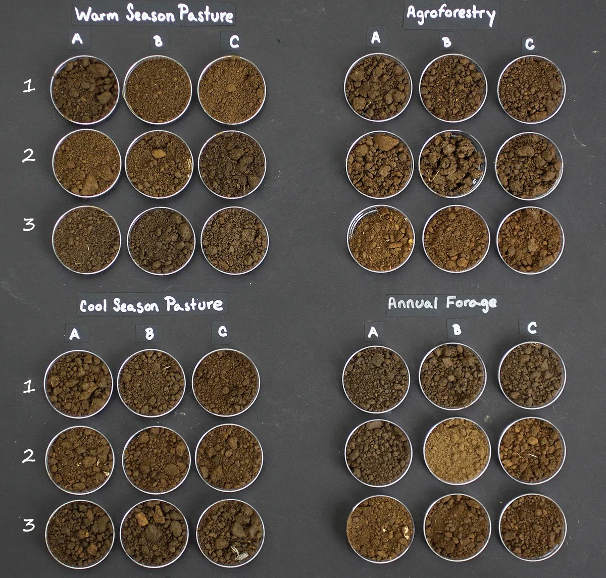 Freshly sampled soils from across the farm. There was significant variability in soil texture and composition across the four management ecosystems, and even within each management system’s 3 spatial zones. Photo courtesy of Woods End Laboratories, LLC.