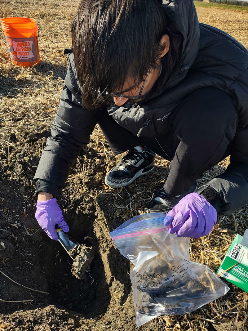 Graduate students in Vázquez-Ortegaâs lab collect soil samples as a function of depth to characterize soil health.