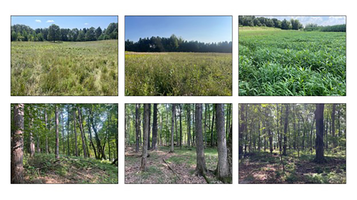 Figure 4. Dry to wet grassland and forested landscapes in Portage County, Wisconsin.