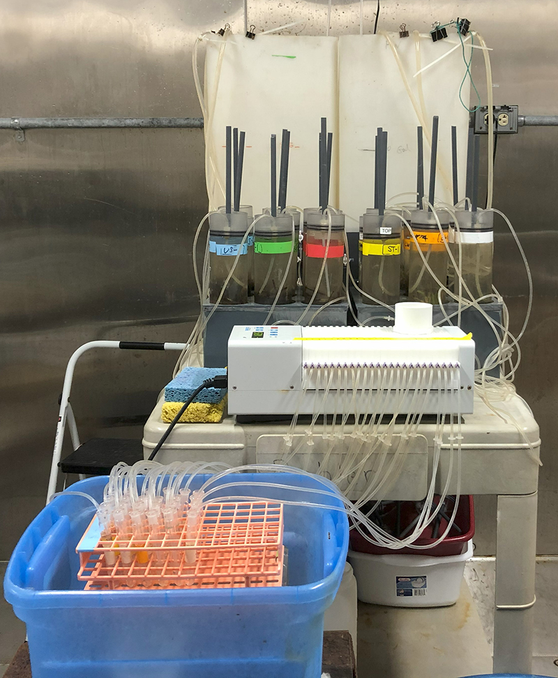 Sediment cores and site water arranged for continuous flow-through incubation experiments. Photo by Anne Margaret Smiley.