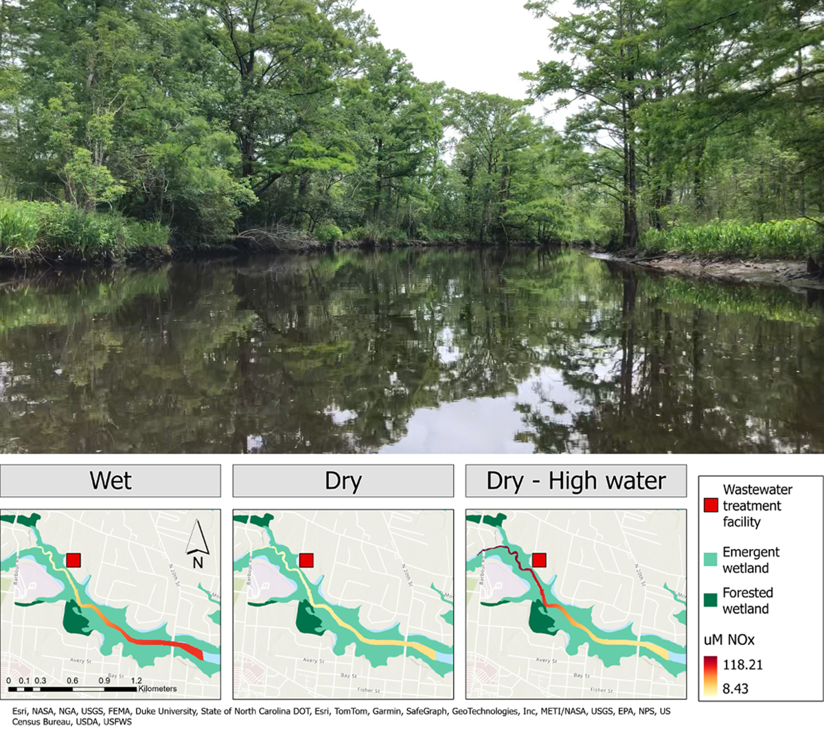 Top: The Newport River (pictured here) was the tidal freshwater system studied in this research. Bottom: Concentrations of reactive nitrogen were measured upstream and downstream of a wastewater treatment facility. Precipitation and tidal influence affected nitrogen pollution patterns in an estuarine tidal creek. Images by Anne Margaret Smiley. 