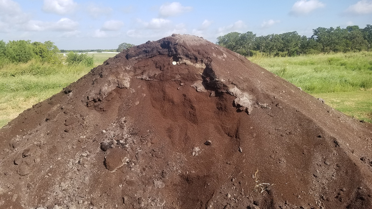 Composting spent coffee grounds that were used in the 70-day incubation. Photo by Amanda Birnbaum.