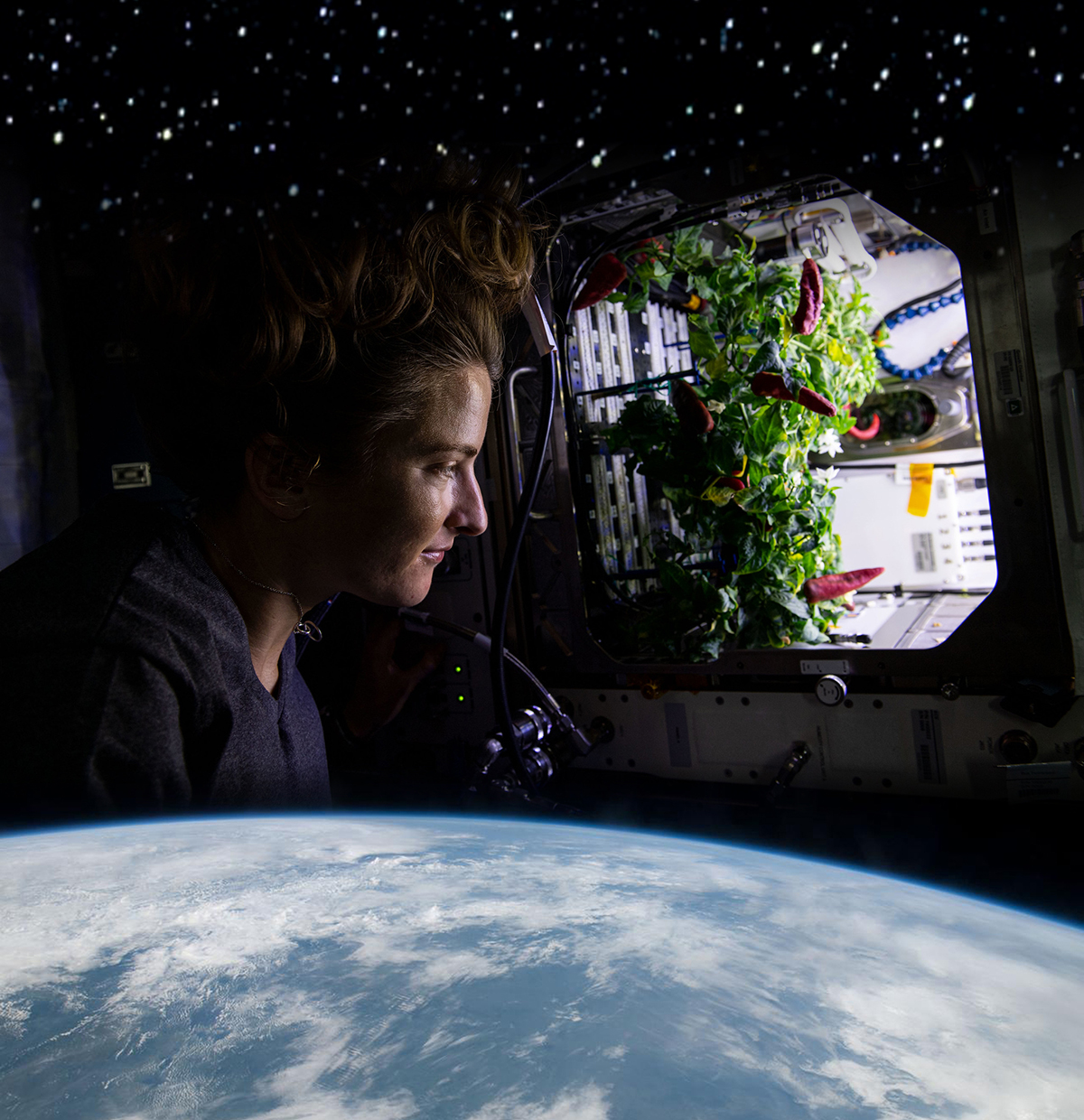 Astronaut Kayla Barron checks out chile peppers growing inside the International Space Station. Photo of Kayla and the Earth courtesy of NASA (under this license https://creativecommons.org/licenses/by-nc-nd/2.0/deed.en). Background space image courtesy of Adobe Stock (Iuliia Sokolovska). 
