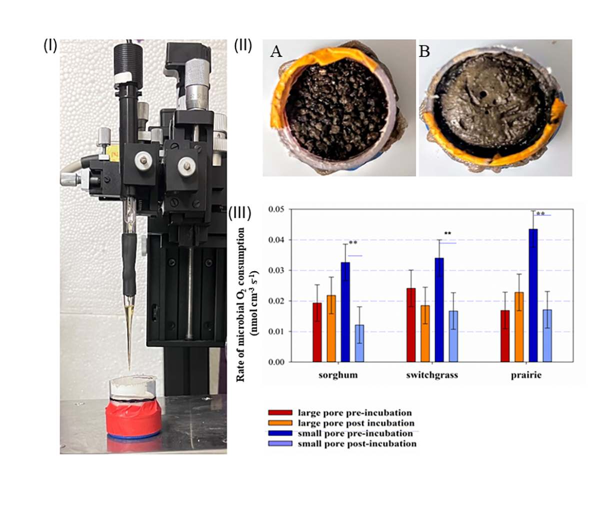 (I) A micro-profiling system with an O2 microsensor; (II) A: large pore soil material, B: small pore soil material; and (III) calculated rates of volumetric O2 by microbes before and after 38 days incubation. Image by Poulamee Chakraborty, GLBRC, Michigan State University.