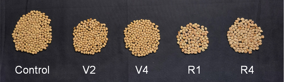 Resilience of cowpea to drought stress at nodulation initiation (V2),Â&nbsp;branching (V4), flowering (R1), and seed fill (R4)