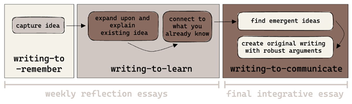 A diagram depicting the writing-to-learn exercises Yamina Pressler assigns her students. Image by Yamina Pressler.