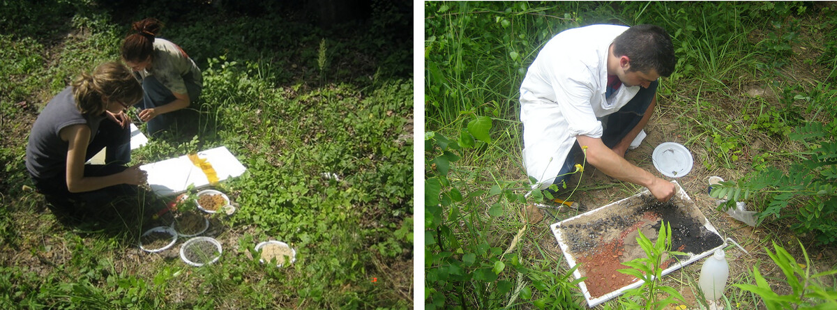 Students creating soil art in the field. Photos by Gerd Wessolek. 
