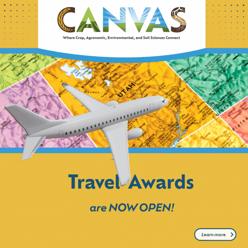 Travel awards