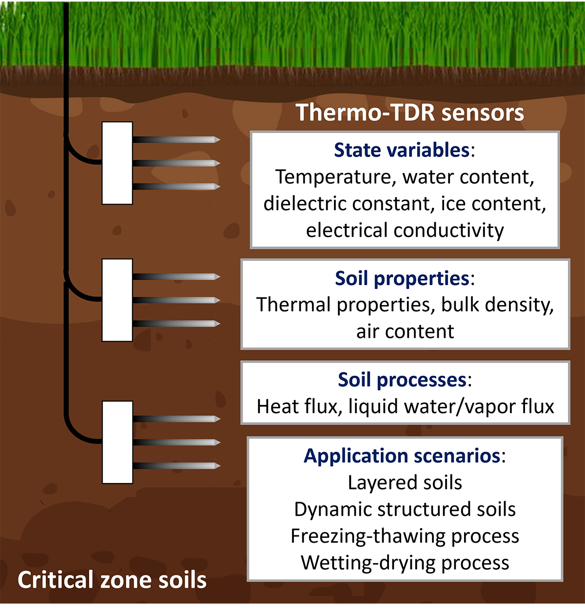 A diagram showing thermo-time domain reflectometry (TDR) sensors placed for critical zone soil measurements. Image by Yili Lu, China Agricultural University.