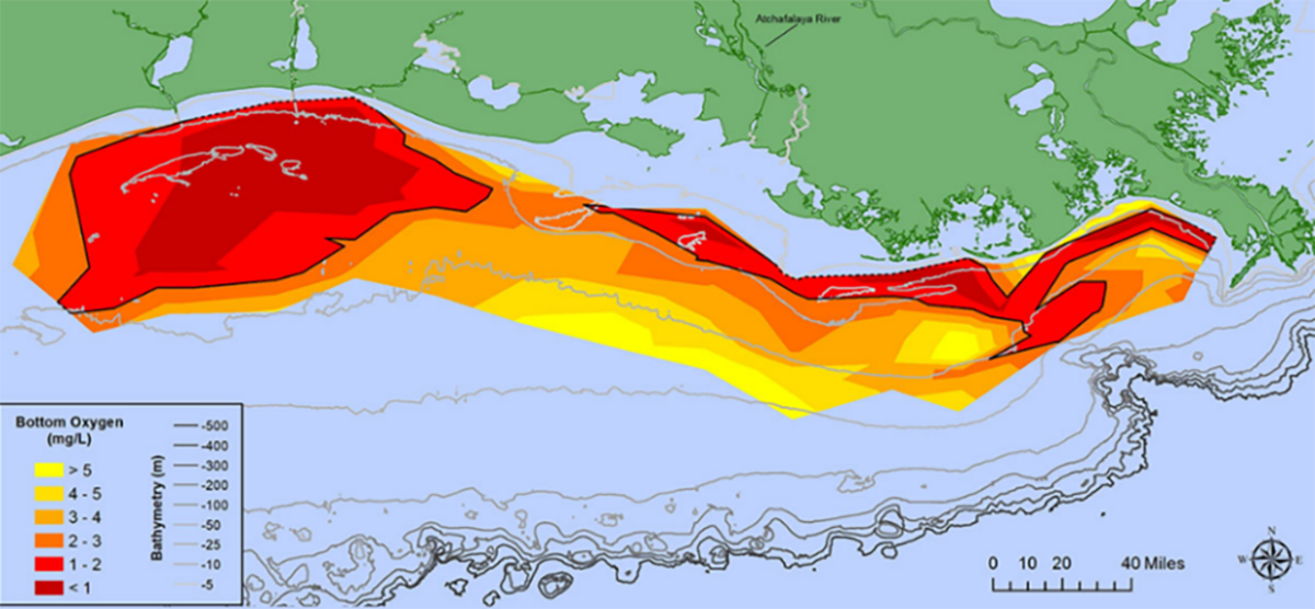 Source: N. Rabalais, LSU/LUMCON (NOAA 2021).